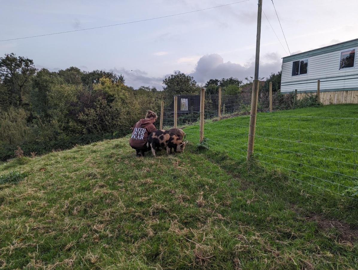 Villa The Piggery Witheridge Esterno foto